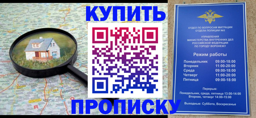 прописка поиск в Домодедово